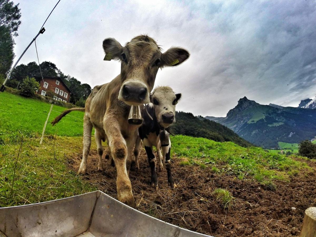 Hostel Engelberg "Mein Trail Hostel" Eksteriør bilde